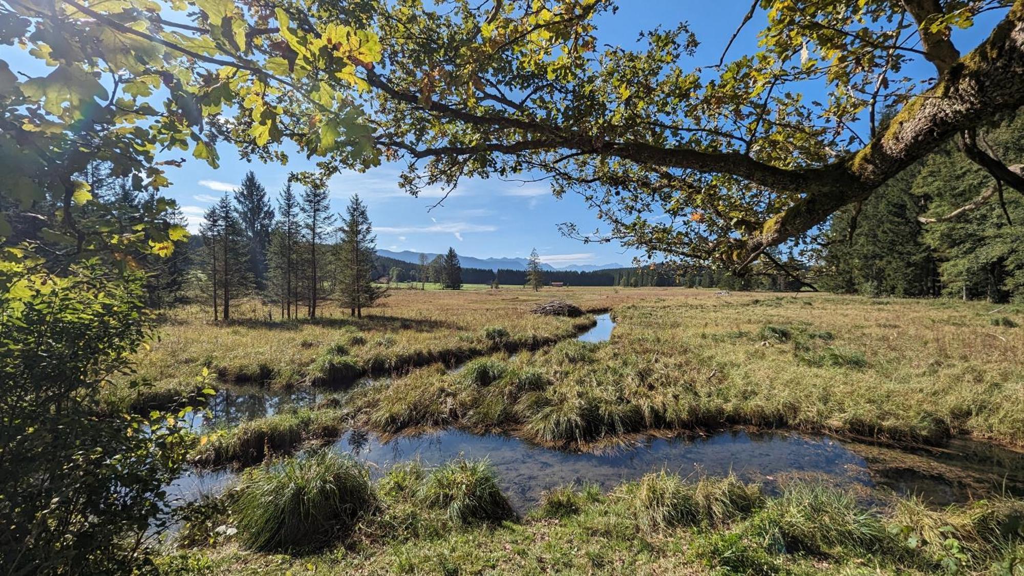 Liboria I Traumhafte Ferienwohnung In Aidling Am Riegsee Mit Atemberaubendem Panoramablick! Exteriör bild